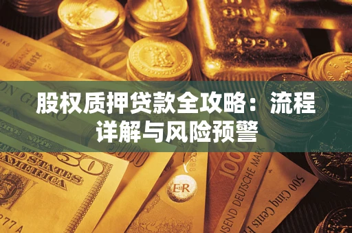 北京股权质押贷款全攻略：流程详解与风险预警