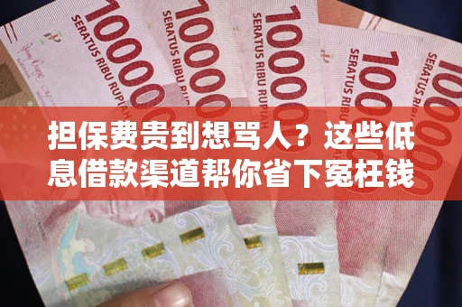 北京担保费贵到想骂人？这些低息借款渠道帮你省下冤枉钱